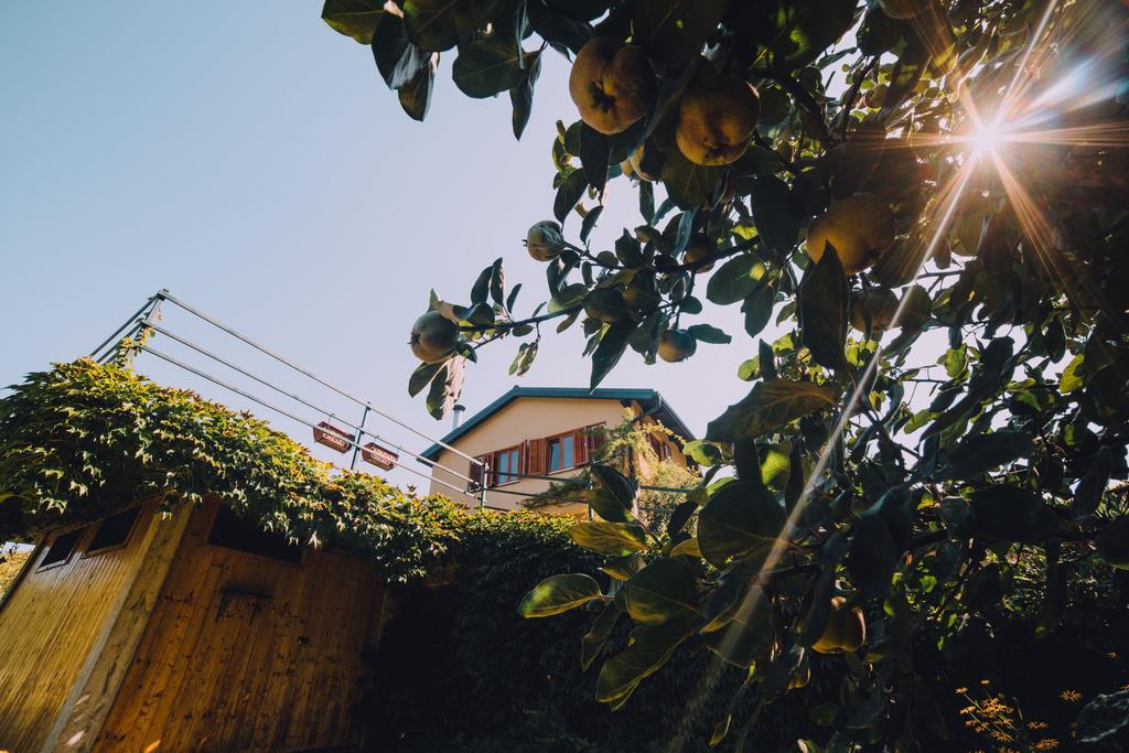 Holiday Home Castanea Paphegy Kültér fotó