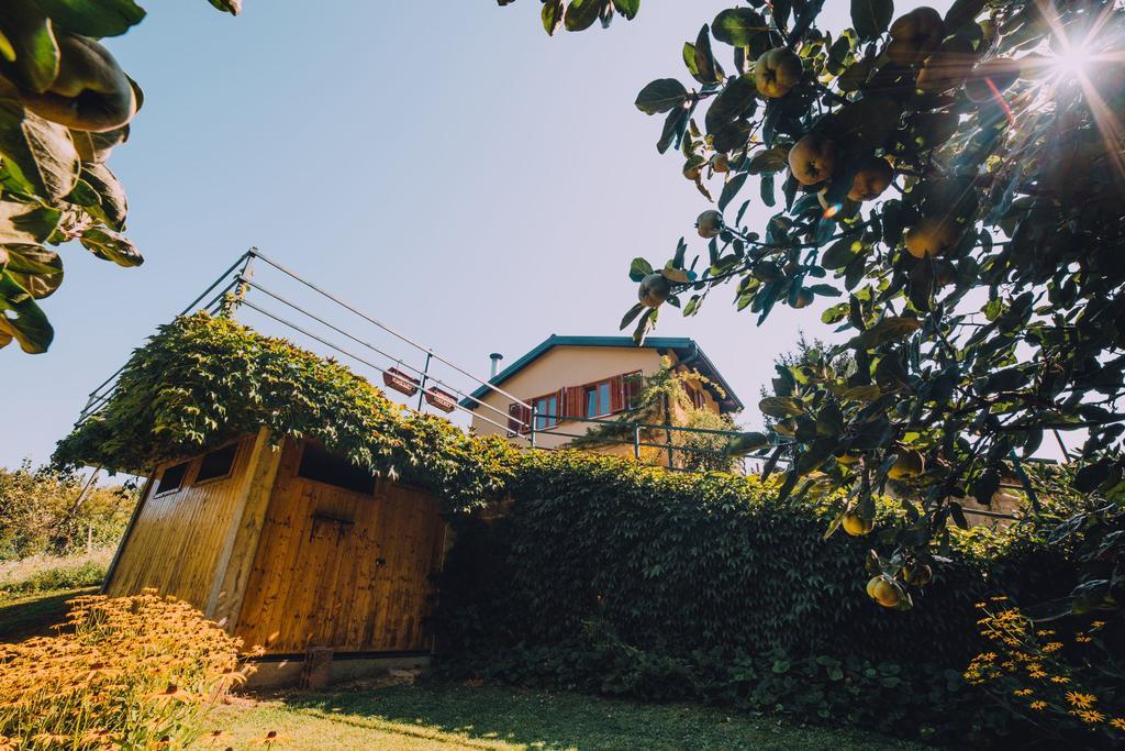 Holiday Home Castanea Paphegy Kültér fotó